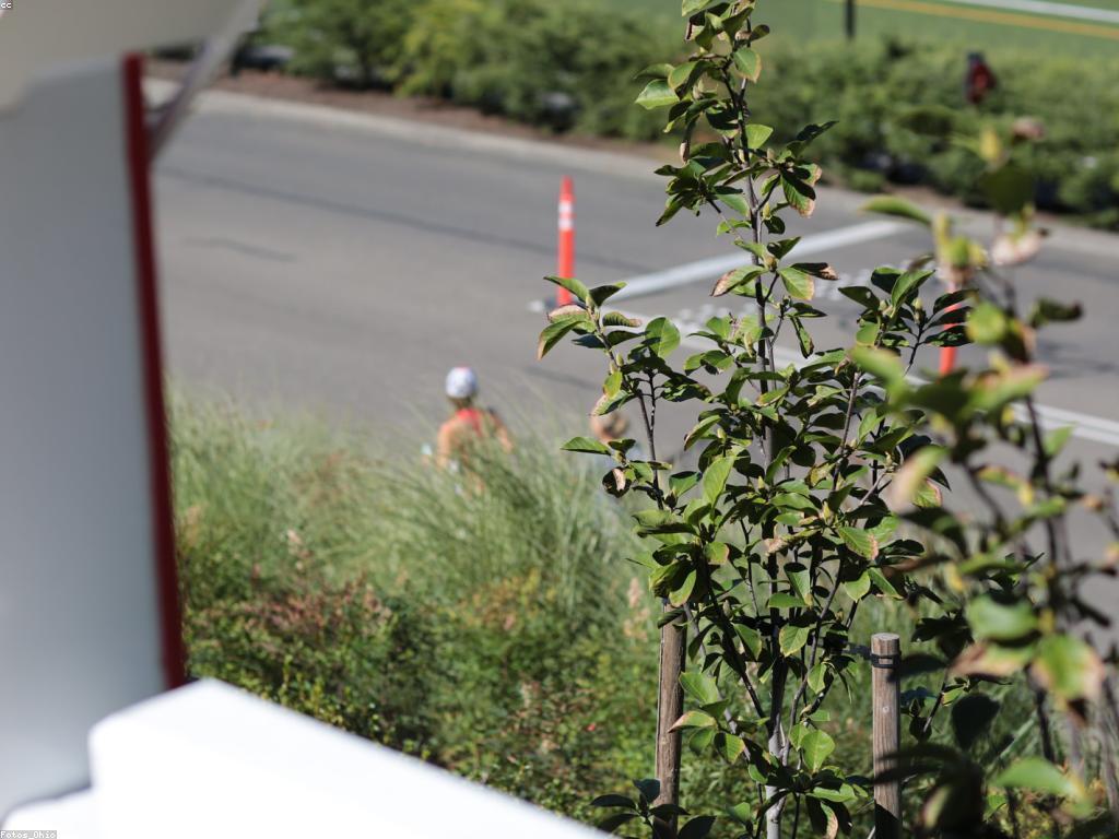 មគ្គុទេសក៍សម្រាប់ការផ្សព្វផ្សាយផលិតផល