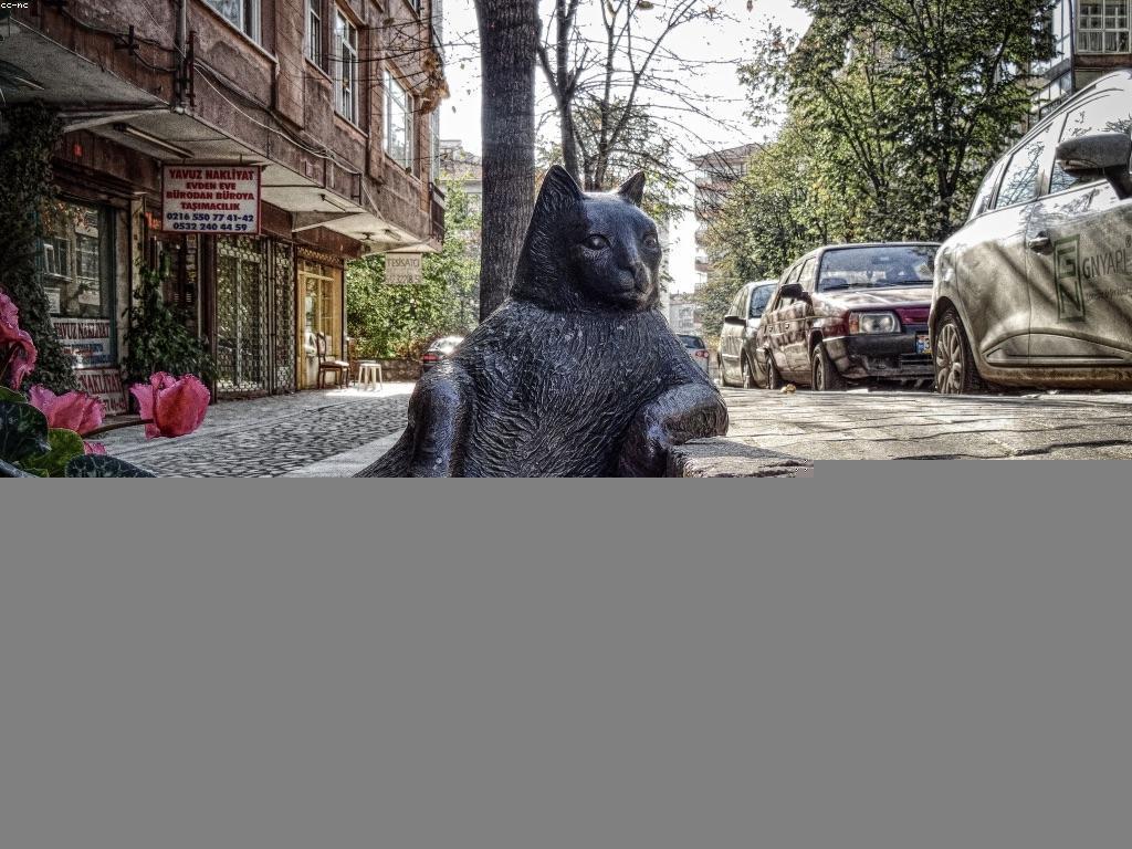 យុទ្ធសាស្ត្រនានាសម្រាប់ការវិភាគទីផ្សារកាស៊ីនូ