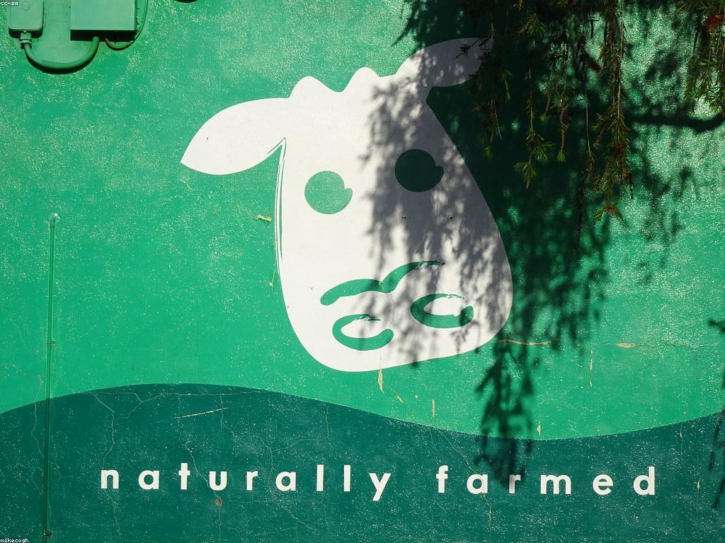 យុទ្ធសាស្ត្រដែលមានប្រសិទ្ធភាពសម្រាប់ការផ្សព្វផ្សាយផលិតផល